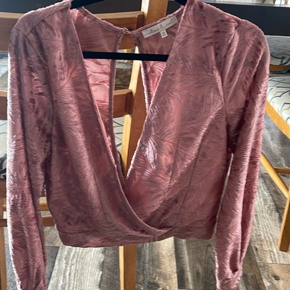Willow & Root Pink Velvet Palm Patterned Longsleeve Cropped Top from The Buckle - Picture 1 of 3